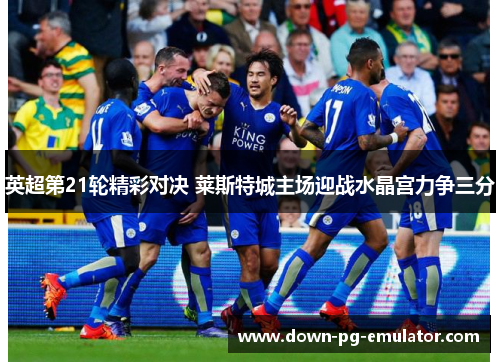 英超第21轮精彩对决 莱斯特城主场迎战水晶宫力争三分