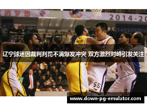 辽宁球迷因裁判判罚不满爆发冲突 双方激烈对峙引发关注
