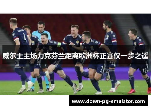 威尔士主场力克芬兰距离欧洲杯正赛仅一步之遥